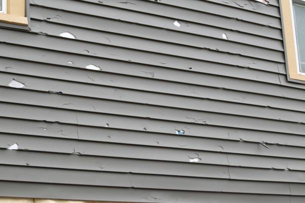 Affordable Siding Repair and Maintenance Services in Broadview Heights, OH